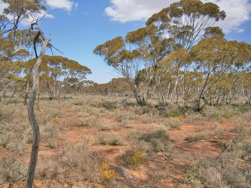 27 McKay Road, Blanchetown SA 5357