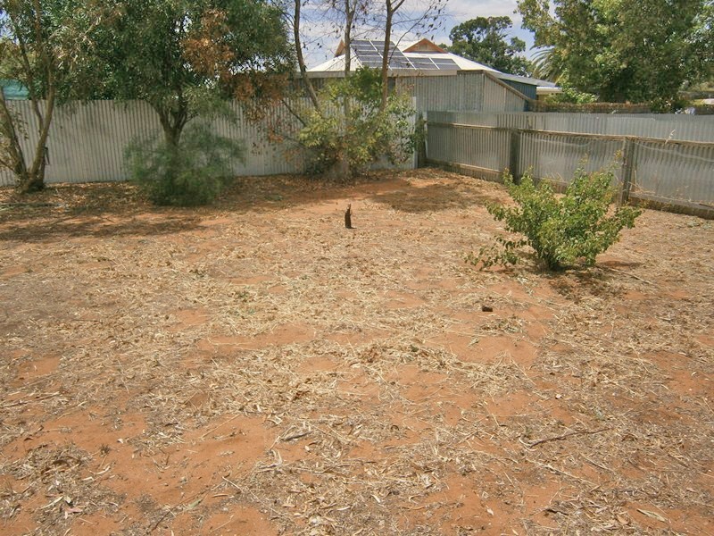 11 Burns Street, Waikerie SA 5330