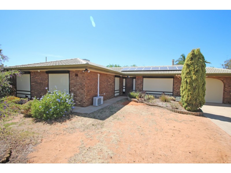 17 Dridan Avenue, Renmark SA 5341