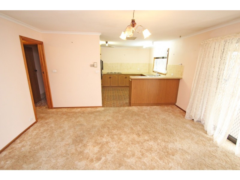 17 Dridan Avenue, Renmark SA 5341