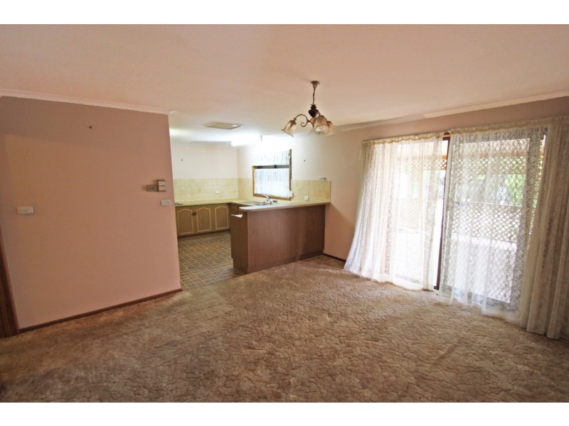 17 Dridan Avenue, Renmark SA 5341