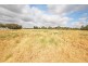 Lot  51 Government Road, Renmark SA 5341