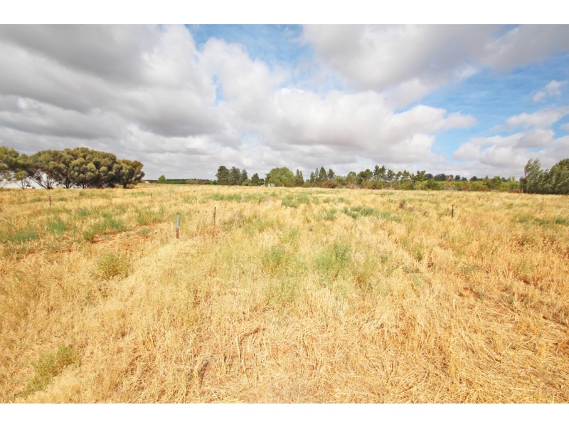 Lot  51 Government Road, Renmark SA 5341