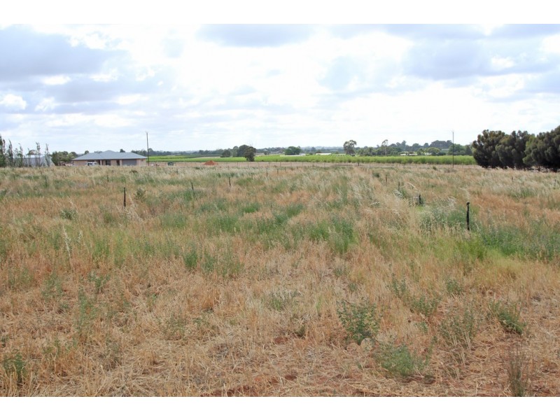 Lot  51 Government Road, Renmark SA 5341