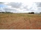 Lot  51 Government Road, Renmark SA 5341