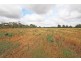 Lot  51 Government Road, Renmark SA 5341