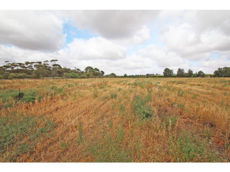 Lot  51 Government Road, Renmark SA 5341