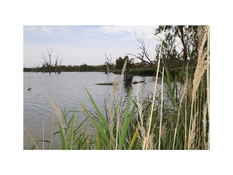 276 Taylorville Road, Waikerie SA 5330