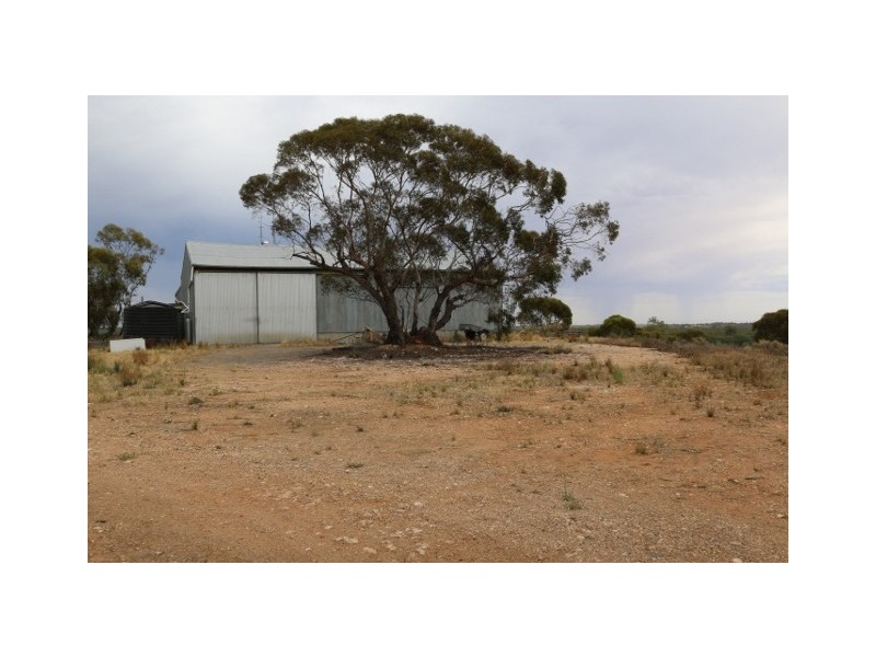 276 Taylorville Road, Waikerie SA 5330