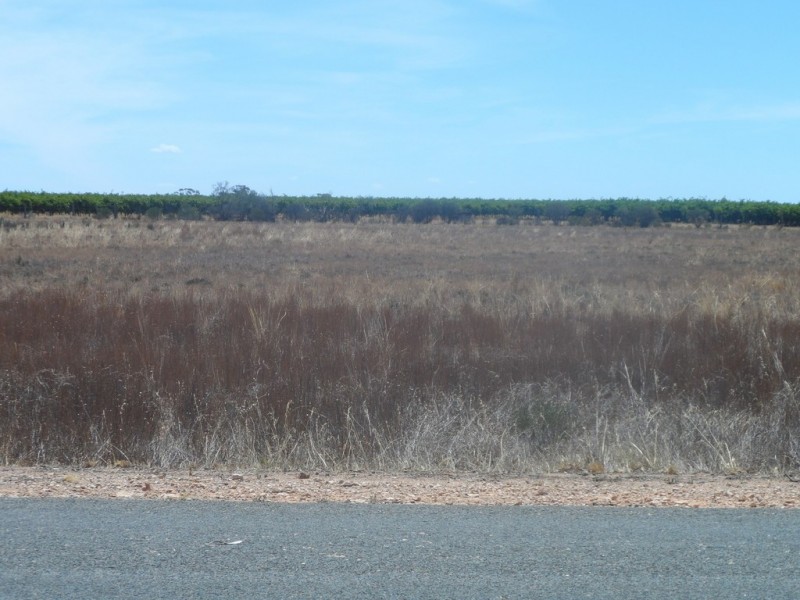 Sec 434 Anderson Road, Loxton North SA 5333