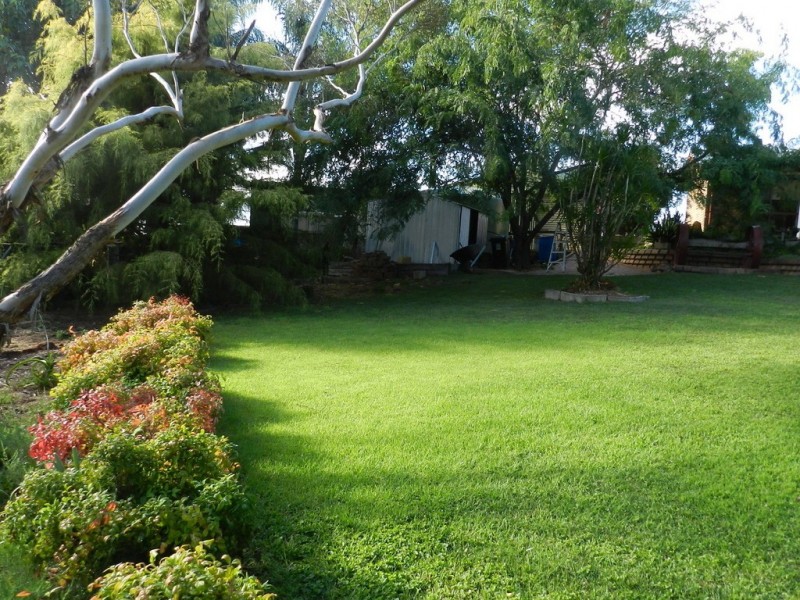 446 Riverview Drive, Berri SA 5343