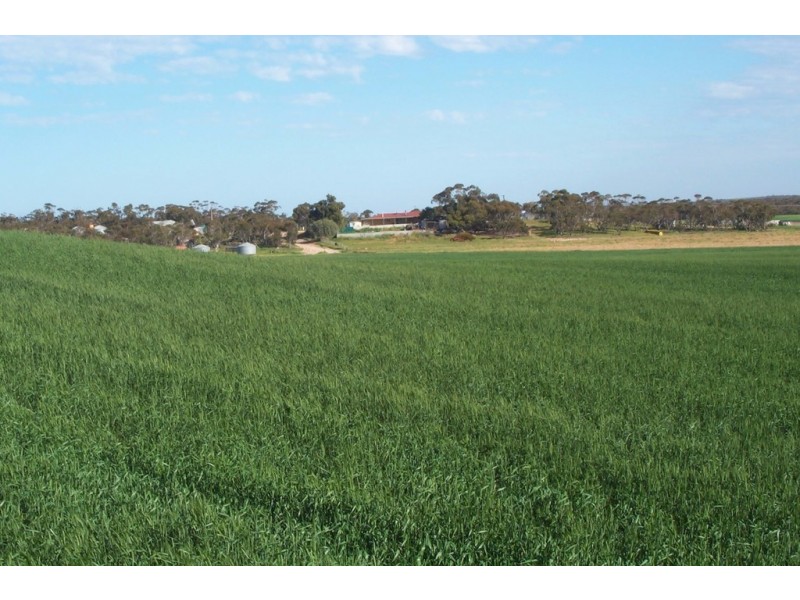 Sec 36, 37, 40 Hd of McGorrey, Meribah SA 5311