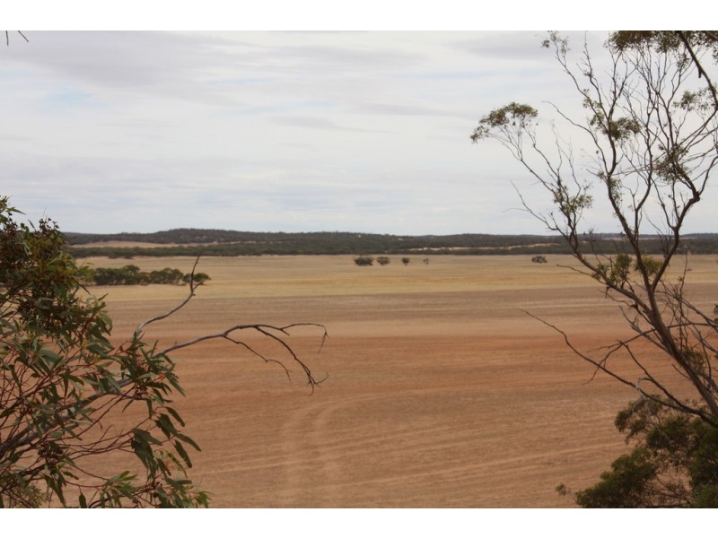 Sec 36, 37, 40 Hd of McGorrey, Meribah SA 5311