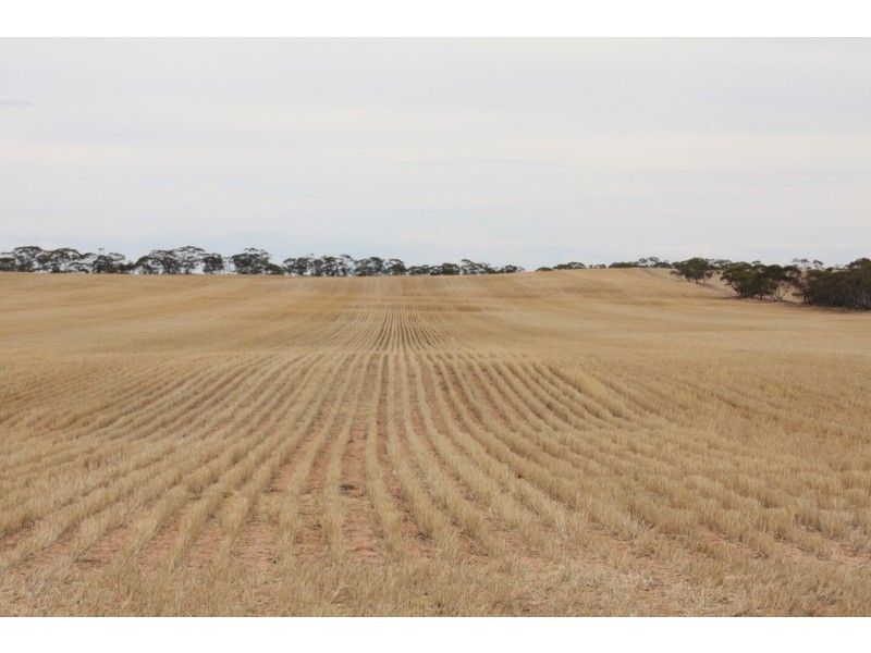 Sec 36, 37, 40 Hd of McGorrey, Meribah SA 5311