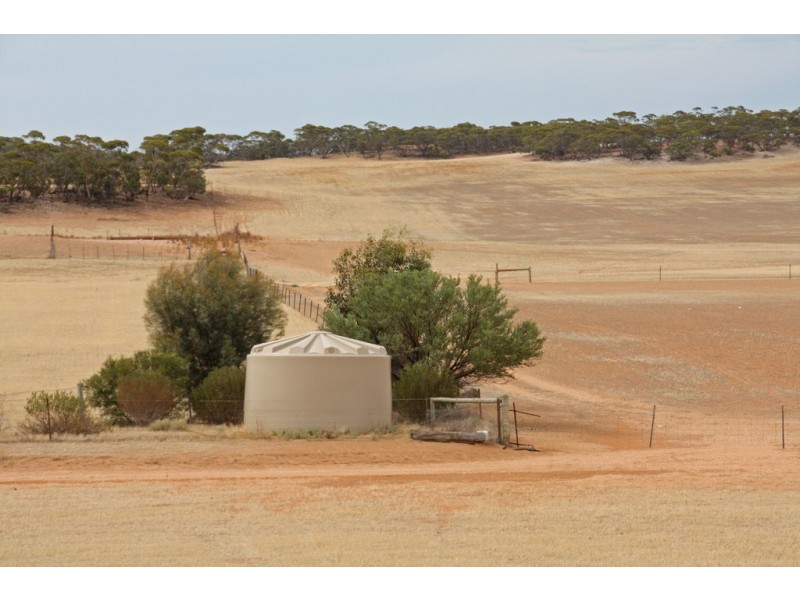 Sec 36, 37, 40 Hd of McGorrey, Meribah SA 5311