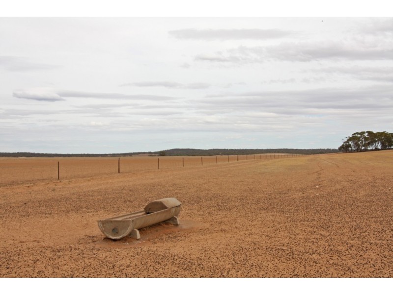 Sec 36, 37, 40 Hd of McGorrey, Meribah SA 5311