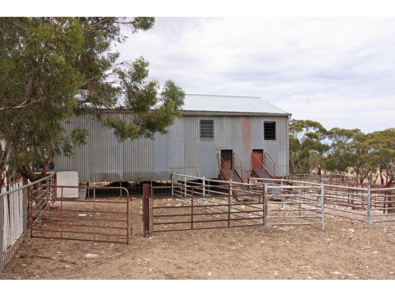 Sec 36, 37, 40 Hd of McGorrey, Meribah SA 5311