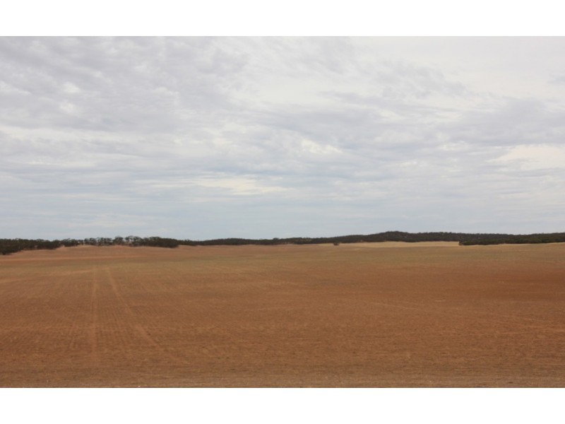 Sec 36, 37, 40 Hd of McGorrey, Meribah SA 5311