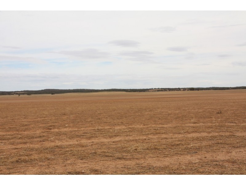 Sec 36, 37, 40 Hd of McGorrey, Meribah SA 5311