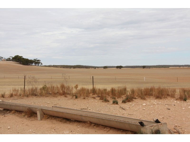 Sec 36, 37, 40 Hd of McGorrey, Meribah SA 5311