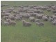 Secs 18 and 19 Hd of Mindarie and Sec 158 Hd of Allen, Wanbi SA 5310
