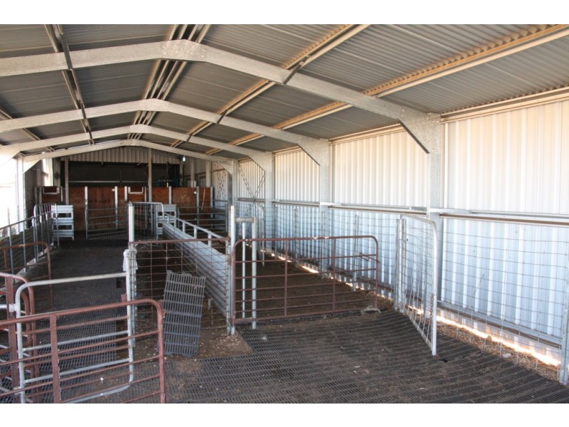 Secs 18 and 19 Hd of Mindarie and Sec 158 Hd of Allen, Wanbi SA 5310