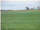 Secs 18 and 19 Hd of Mindarie and Sec 158 Hd of Allen, Wanbi SA 5310