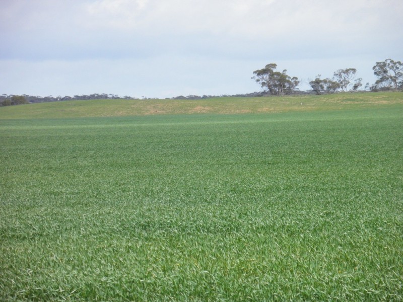 Secs 18 and 19 Hd of Mindarie and Sec 158 Hd of Allen, Wanbi SA 5310