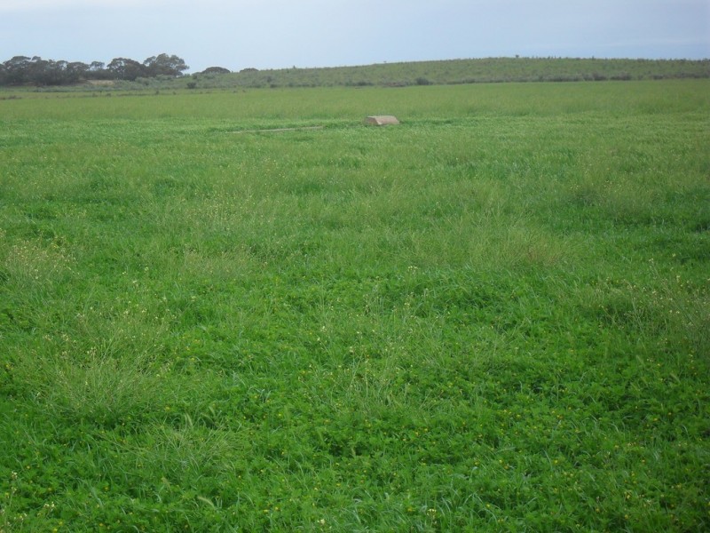 Secs 18 and 19 Hd of Mindarie and Sec 158 Hd of Allen, Wanbi SA 5310