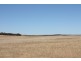 Secs 18 and 19 Hd of Mindarie and Sec 158 Hd of Allen, Wanbi SA 5310