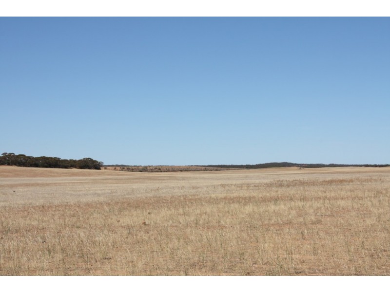 Secs 18 and 19 Hd of Mindarie and Sec 158 Hd of Allen, Wanbi SA 5310