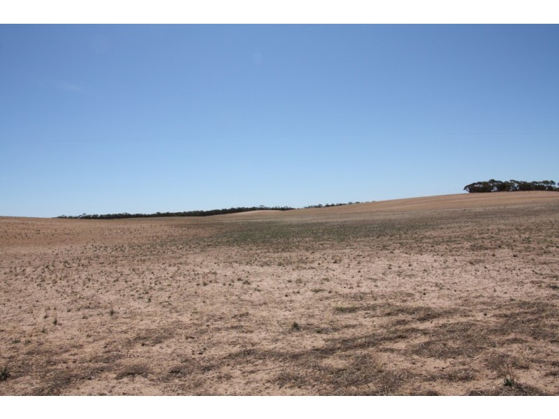Secs 18 and 19 Hd of Mindarie and Sec 158 Hd of Allen, Wanbi SA 5310