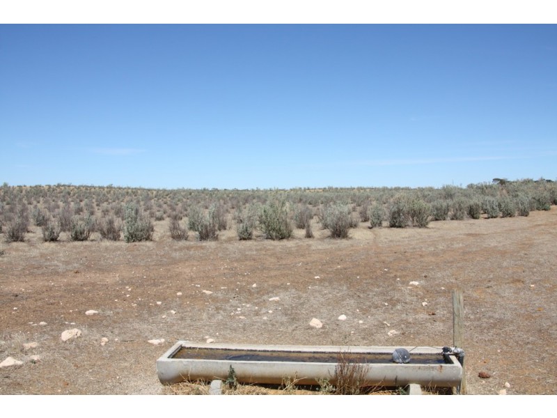 Secs 18 and 19 Hd of Mindarie and Sec 158 Hd of Allen, Wanbi SA 5310