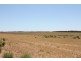 Secs 18 and 19 Hd of Mindarie and Sec 158 Hd of Allen, Wanbi SA 5310