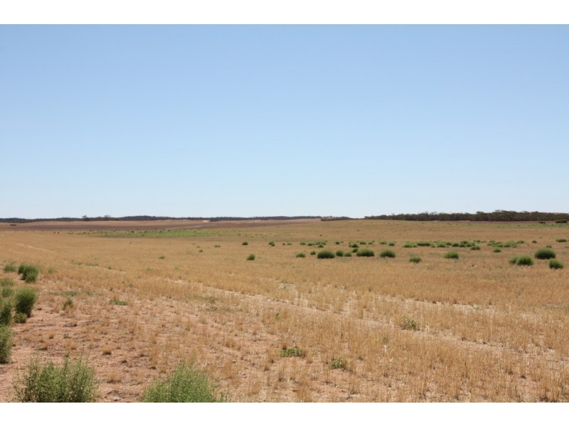 Secs 18 and 19 Hd of Mindarie and Sec 158 Hd of Allen, Wanbi SA 5310