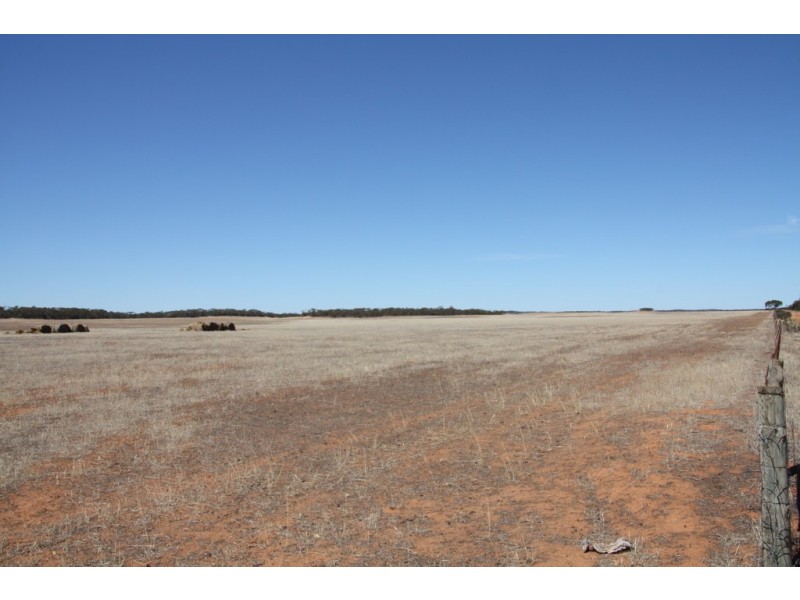Secs 18 and 19 Hd of Mindarie and Sec 158 Hd of Allen, Wanbi SA 5310