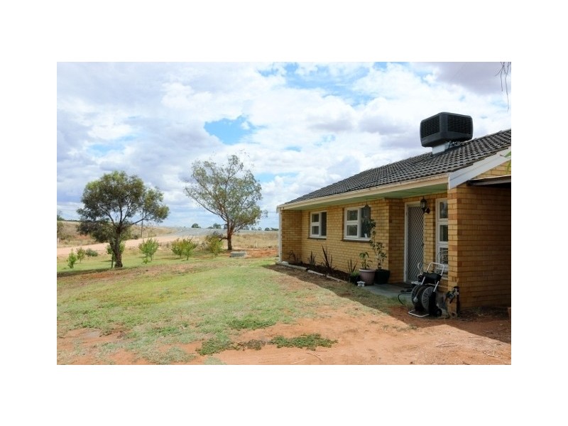 5 Loffler Road, Waikerie SA 5330
