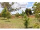 5 Loffler Road, Waikerie SA 5330