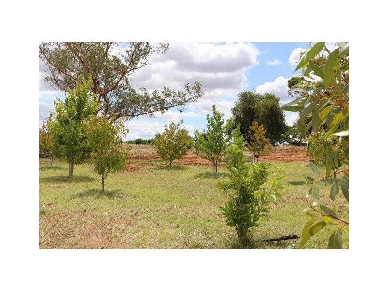 5 Loffler Road, Waikerie SA 5330