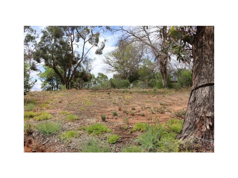 5 Loffler Road, Waikerie SA 5330