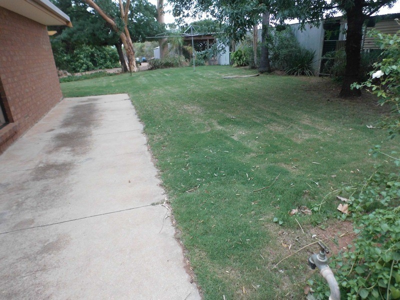 286 Old Cooltong Avenue, Renmark SA 5341