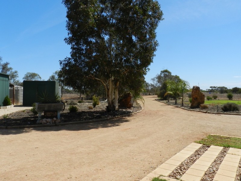 731 Hunt Road, Loveday SA 5345