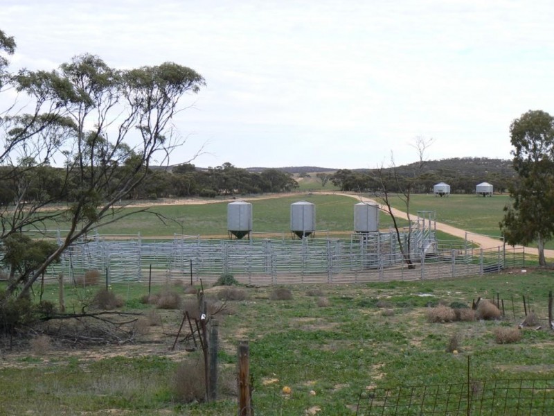 Secs 37, 33, 39, 27, 50 and Allots 201 203 Hd of Kingsford, Kringin SA 5304