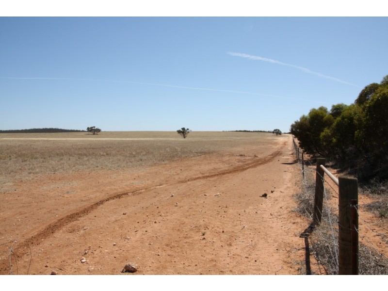 Secs 37, 33, 39, 27, 50 and Allots 201 203 Hd of Kingsford, Kringin SA 5304