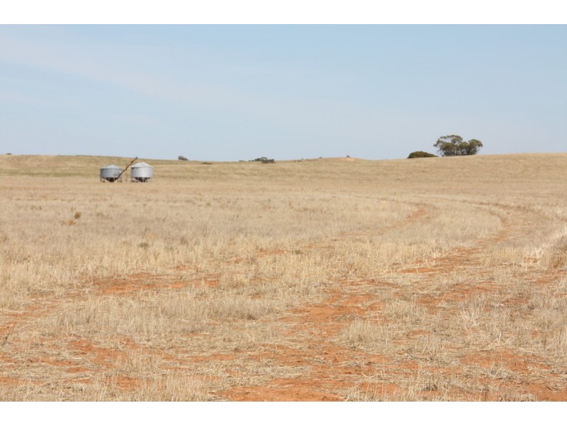 Secs 37, 33, 39, 27, 50 and Allots 201 203 Hd of Kingsford, Kringin SA 5304