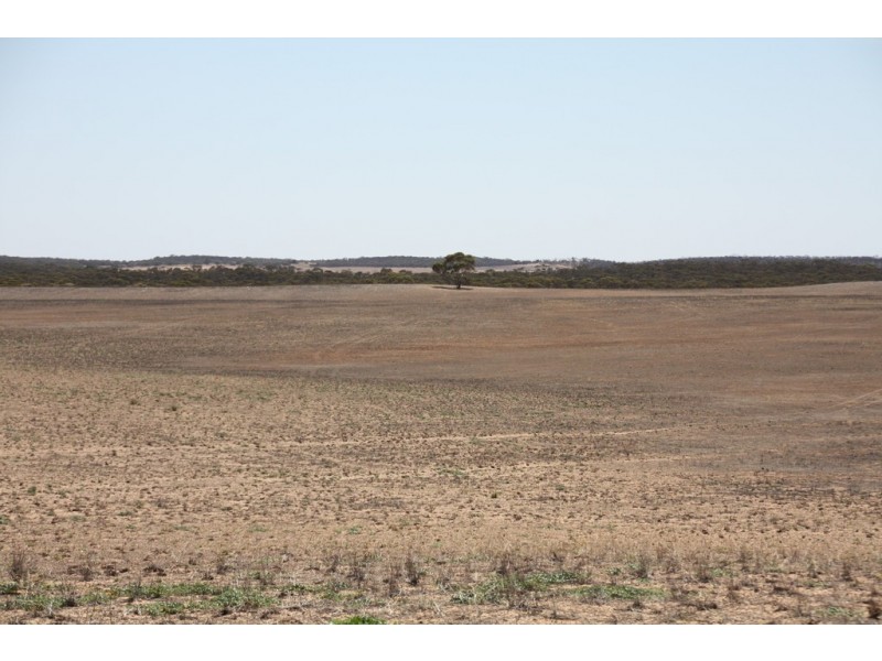 Secs 37, 33, 39, 27, 50 and Allots 201 203 Hd of Kingsford, Kringin SA 5304