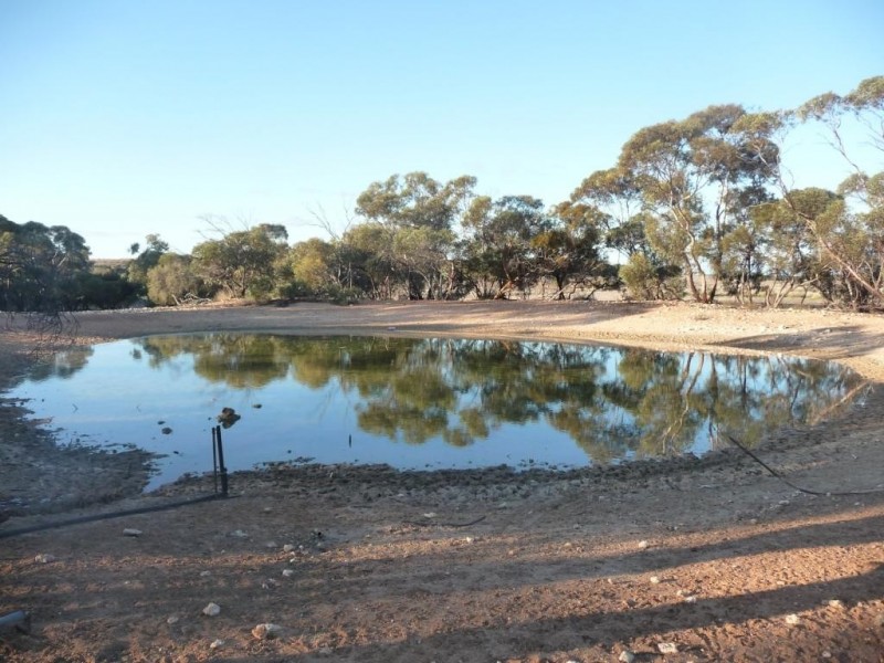 Secs 37, 33, 39, 27, 50 and Allots 201 203 Hd of Kingsford, Kringin SA 5304