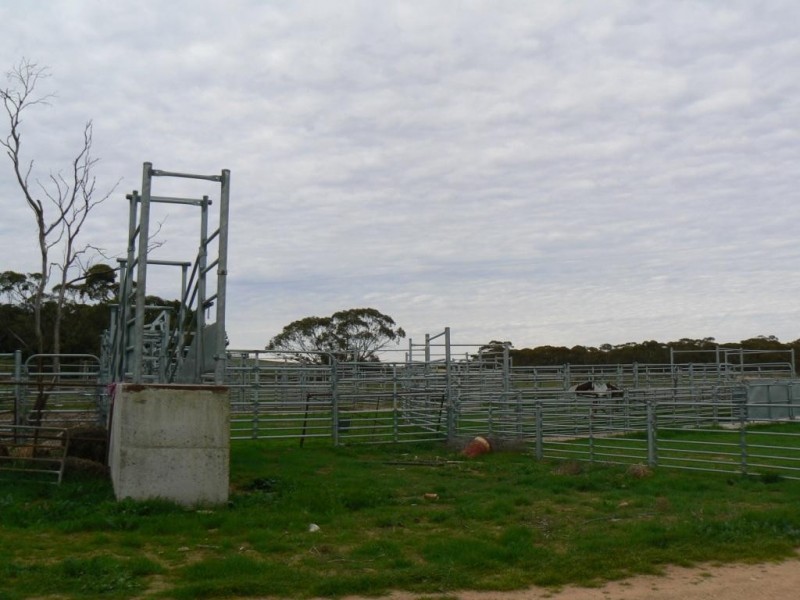 Secs 37, 33, 39, 27, 50 and Allots 201 203 Hd of Kingsford, Kringin SA 5304