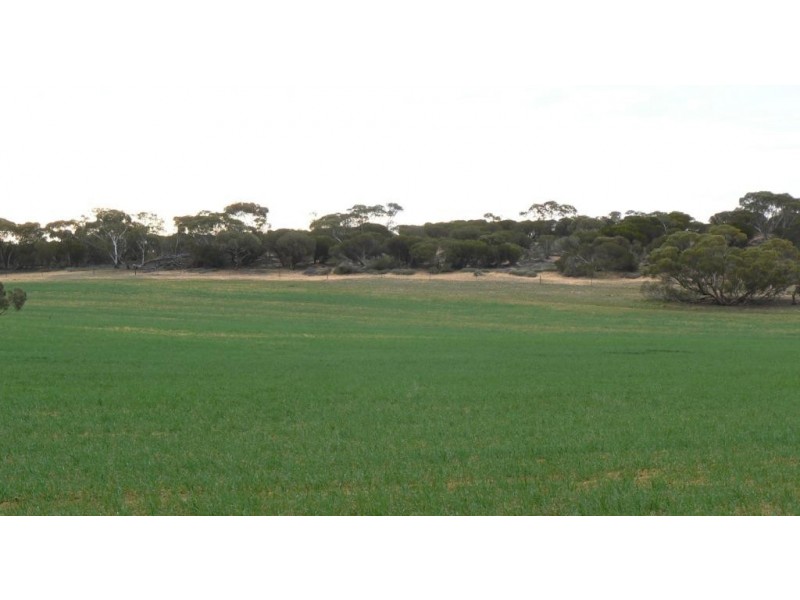 Secs 37, 33, 39, 27, 50 and Allots 201 203 Hd of Kingsford, Kringin SA 5304