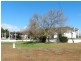 56 Costello Road, Loveday SA 5345